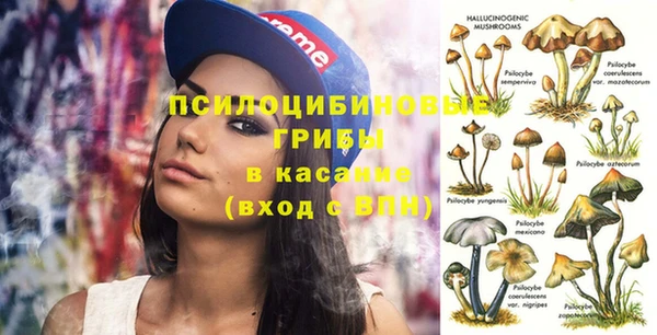гидропоника Алзамай
